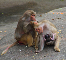 Similar image 9320974