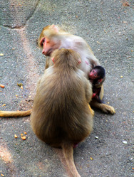 Similar image 9321152