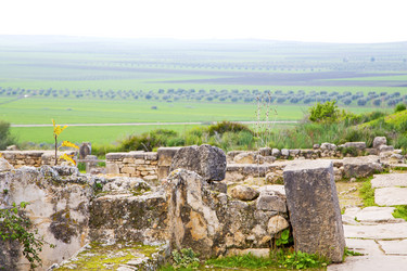 Similar image 9321390