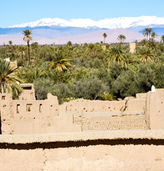 Similar image 9321748