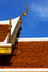 Similar image 9321951