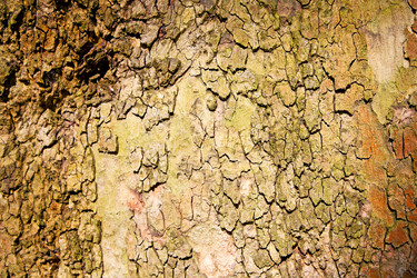 Similar image 9322107