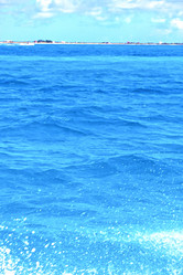 Similar image 9322320