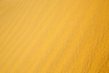 Similar image 9322549