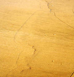 Similar image 9323066