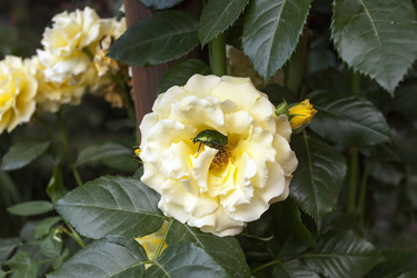 Similar image 9323238