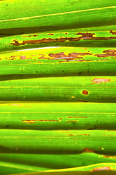 Similar image 9323854