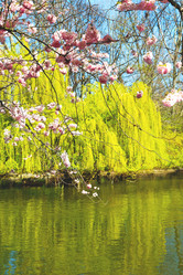 Similar image 9324310