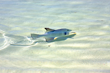 Similar image 9324493