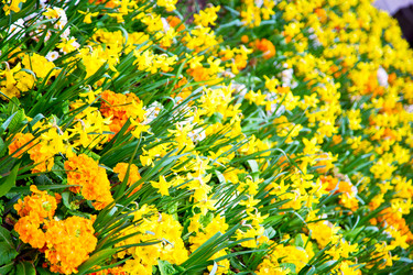 Similar image 9324503