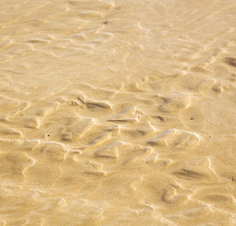 Similar image 9324689