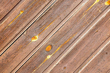 Similar image 9324713