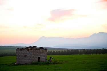 Similar image 9324911