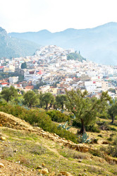 Similar image 9325341