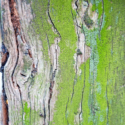 Similar image 9325575