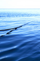 Similar image 9325926