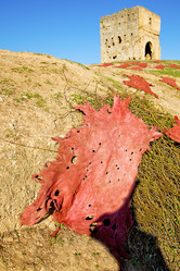 Similar image 9326108