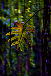 Similar image 9326430