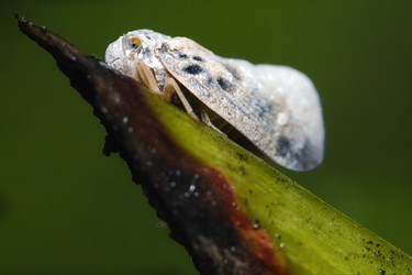 Similar image 9326436