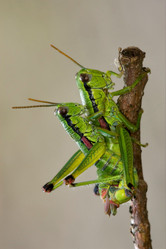 Similar image 9326588