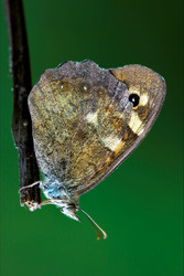 Similar image 9326602