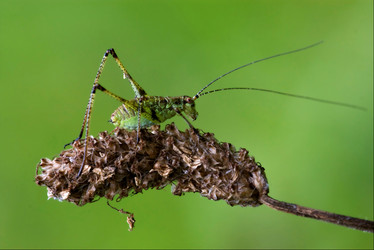 Similar image 9326609