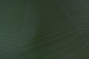 Similar image 9326769