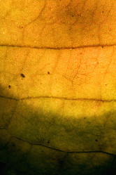 Similar image 9326781