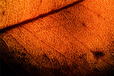 Similar image 9326927