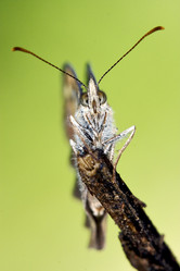 Similar image 9326930