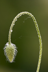 Similar image 9326934