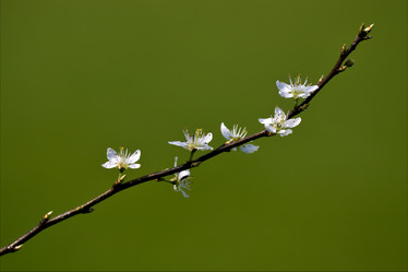 Similar image 9326958