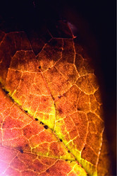 Similar image 9326960