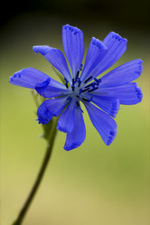 Similar image 9326964