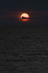 Similar image 9326970