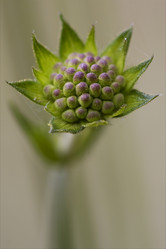 Similar image 9327141