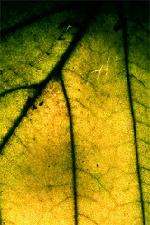 Similar image 9327154