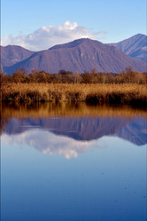 Similar image 9327171