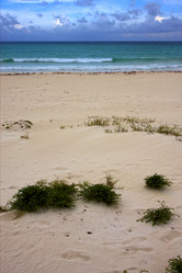 Similar image 9327177