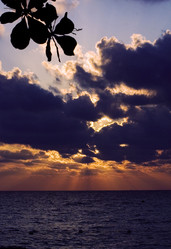 Similar image 9327426