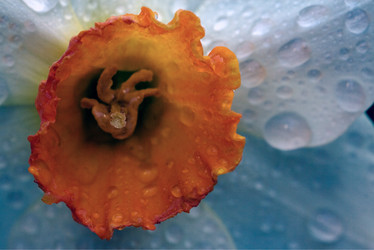 Similar image 9327441