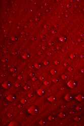 Similar image 9327445