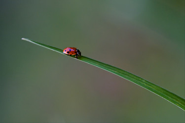 Similar image 9327680