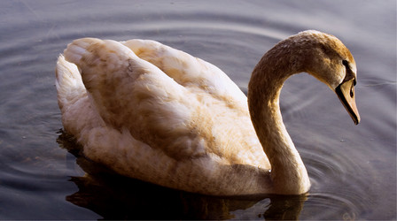 Similar image 9327685