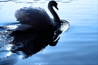 Similar image 9327812