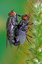 Similar image 9327814