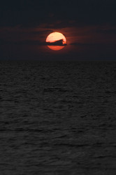 Similar image 9327826