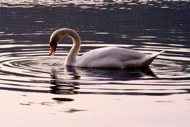 Similar image 9327833