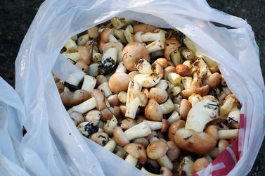 Similar image 9328018