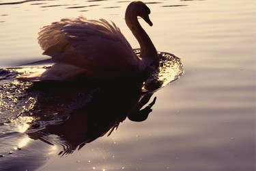 Similar image 9328420